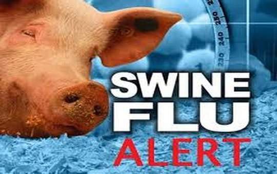 ng-swine-flu