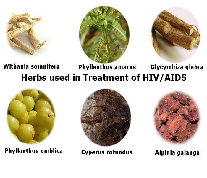 HIV/AIDS Causes, Symptoms, Treatment, Diagnosis and