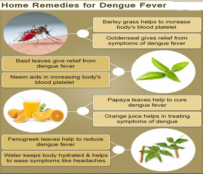 Dengue