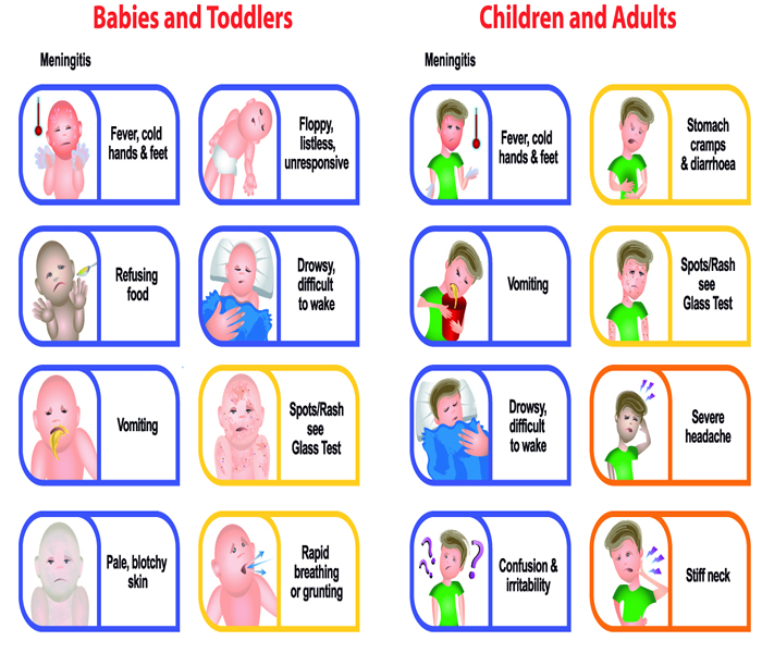 Adult Meningitis Symptoms