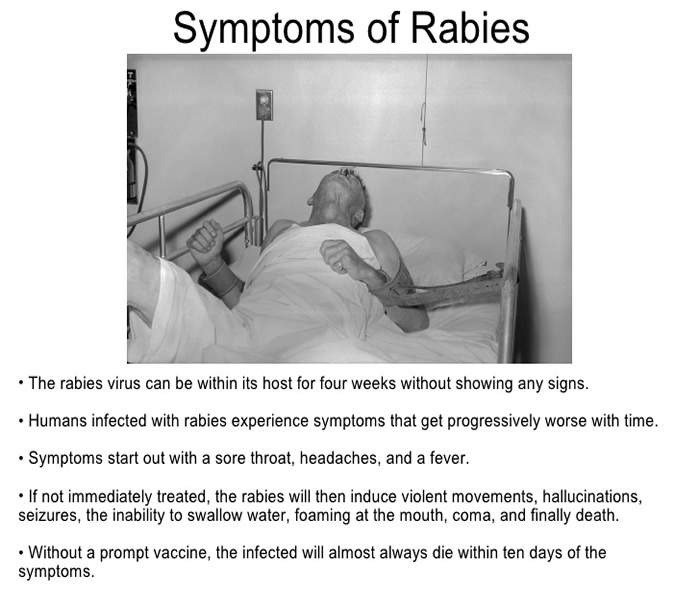Rabies