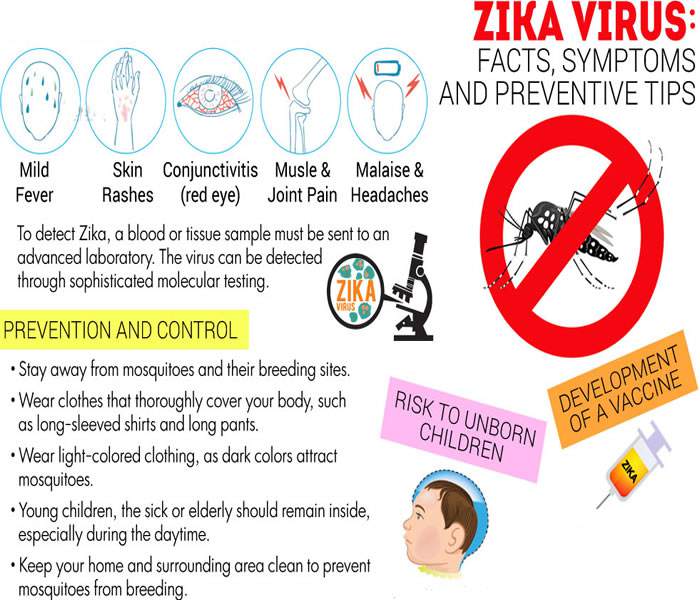 Zika-virus