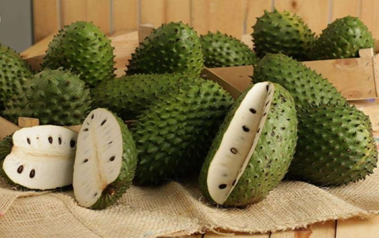 ng-soursop