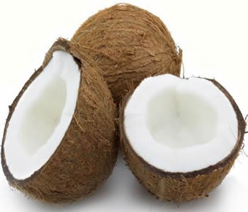 ng-Coconut.
