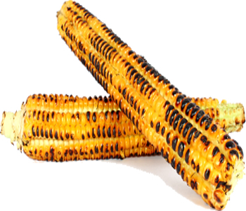 ng-roasted-corn