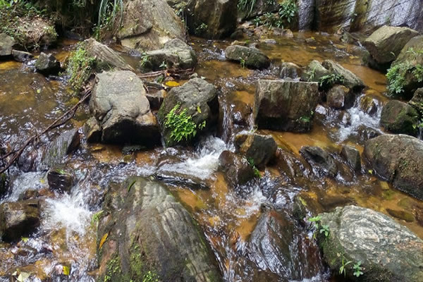 Lamurde Hot Springs, Adamawa - Soluap