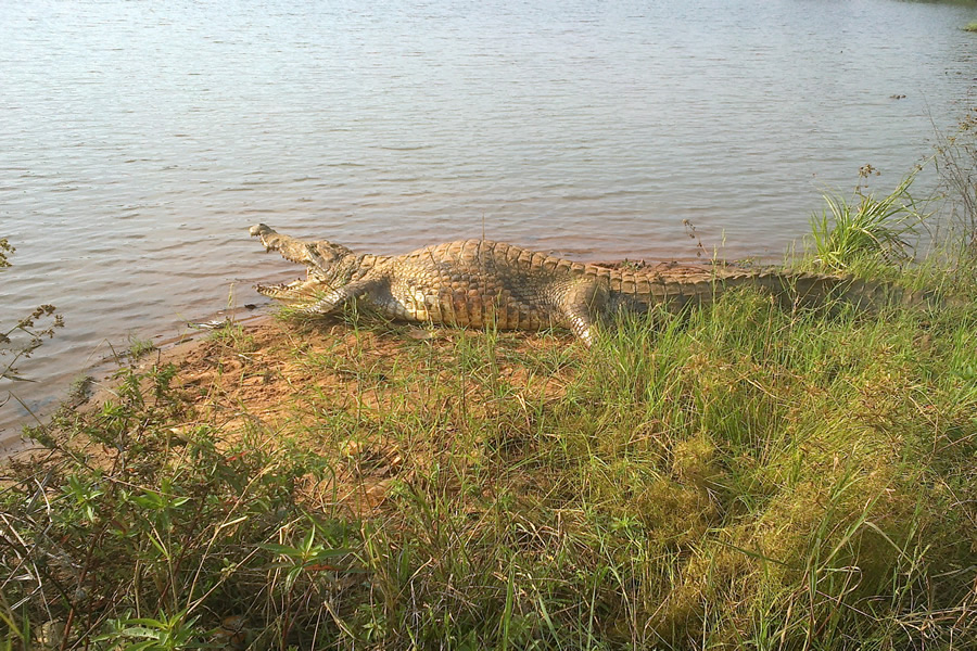 Agulu-Lake-in-Anambra