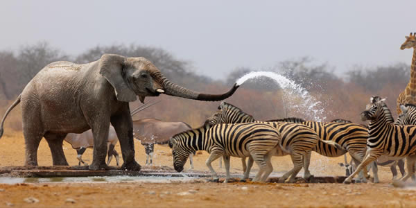 Yankari National Park, Bauchi State