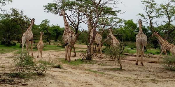 Yankari National Park, Bauchi State