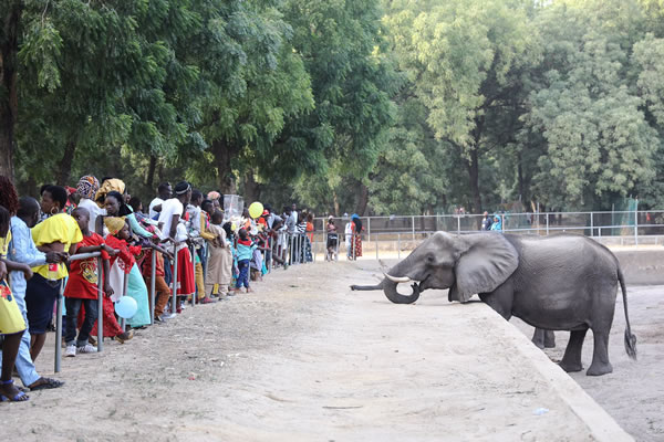 Sanda-Kyarimi-Park-Zoo-Borno