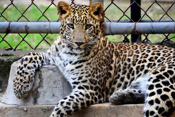 Sanda-Kyarimi-Park-Zoo-Borno
