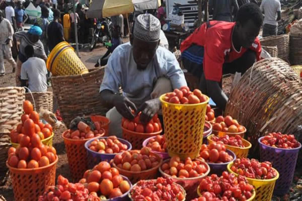 market-jigawa