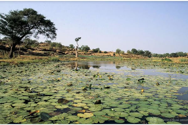 Nguru-Wetland-Jigawa