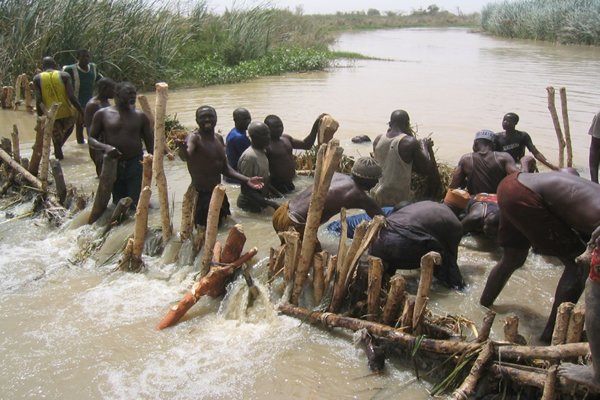 Nguru-Wetland