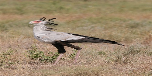 Kamuku-National-Park-Kaduna