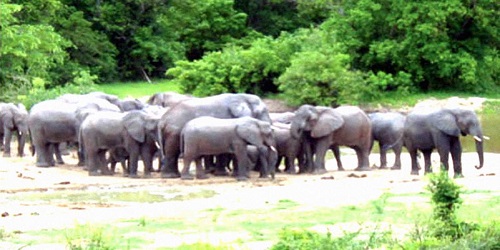 Kamuku-National-Park