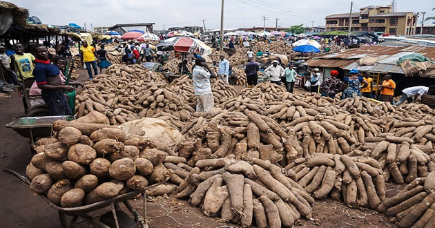 Kaduna Market