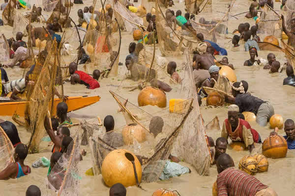 Argungu International Fishing Festival