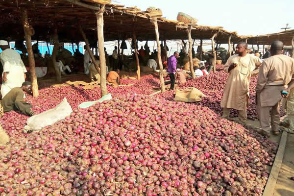 onion-market