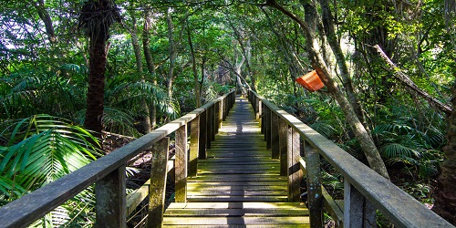 Lekki-Conservation-Centre1