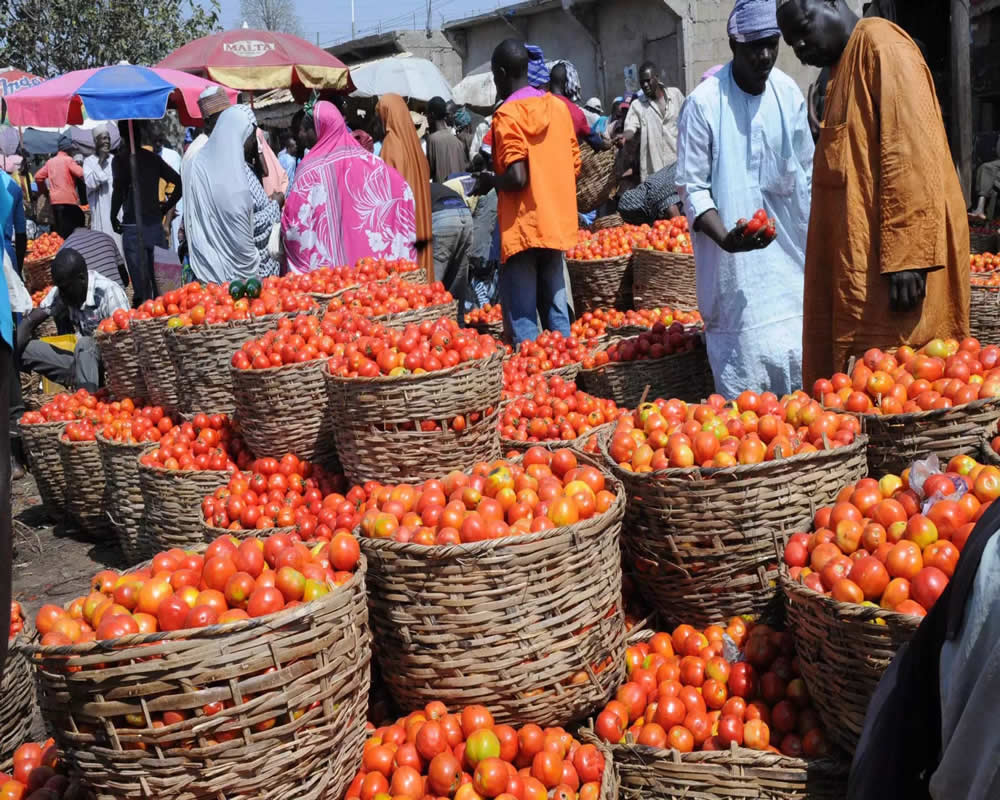  mile 12 Market