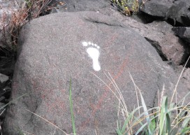 Bina-Footprints-Niger