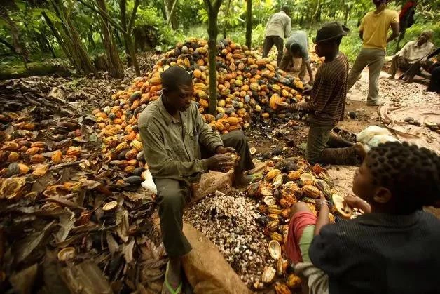 Ogun Business