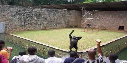 University-of-Ibadan-Garden