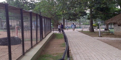 University-of-Ibadan-Garden1