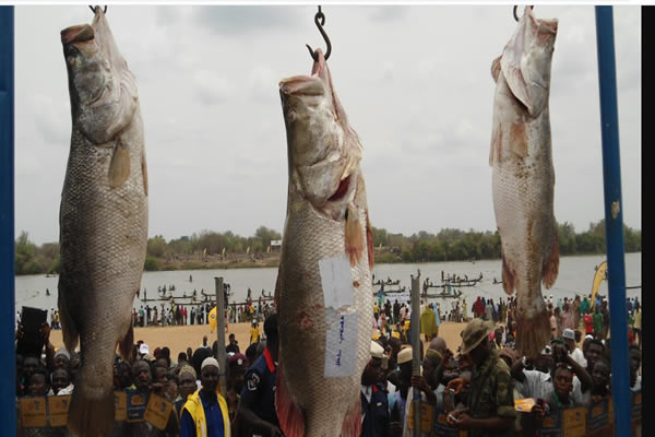 Nwonyo Fishing Festival