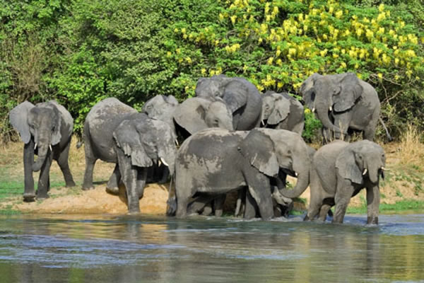 Kuyambana Game Reserve