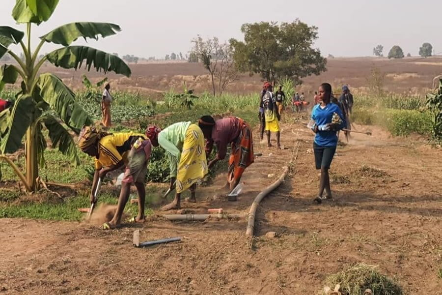 FG assures Nigerians of food security