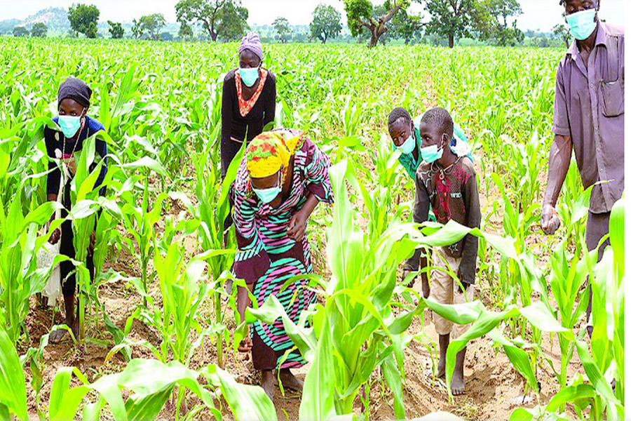 Zero-interest loan for SMEs, farmers critical for economic survival