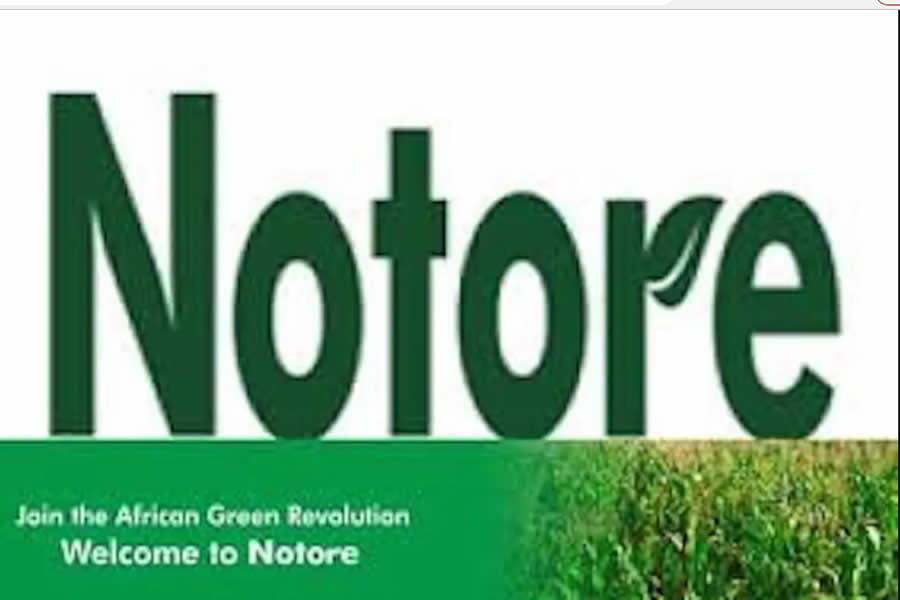 Notore records N4.1bn revenue in Q1 2023